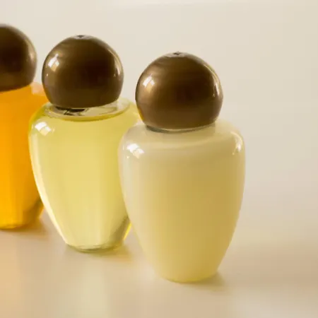 巴尔博酒店 都灵